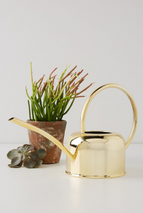 Golden Watering Can, $38, anthropologie.com