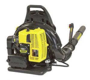 Champion 63.3cc Gas Backpack Leaf Blower, $350, canadiantire.ca